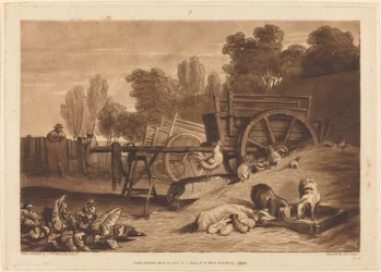 La cour de ferme avec le coq