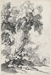 Un Arbre Imposant avec des Voyageurs