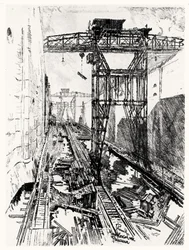Grues à l