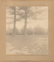 Paysage avec arbres