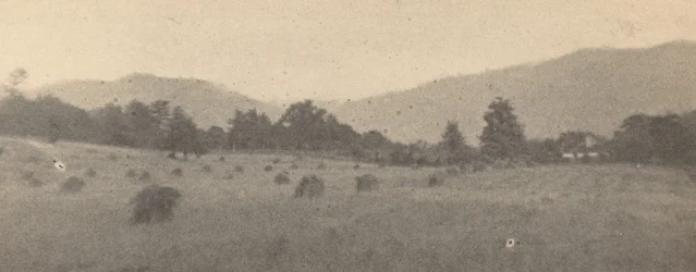 Paysage avec arbres et montagnes