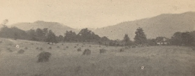 Paysage avec arbres et montagnes, c. 1900 (photo)