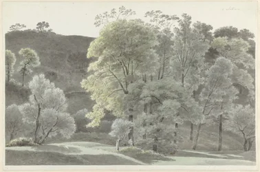 Arbres autour de Subiaco