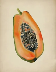Une demi-papaye juteuse