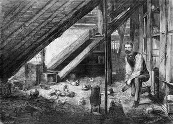 Les pigeons messagers en 1870 (illustration)