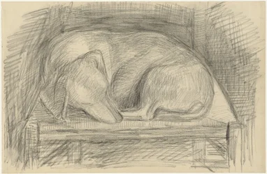 Chien endormi sur une chaise