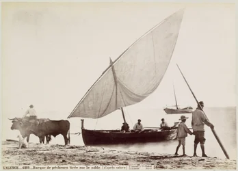 Des bœufs tirent une barque de pêcheurs sur la plage à Valence