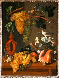 Nature morte aux raisins ...