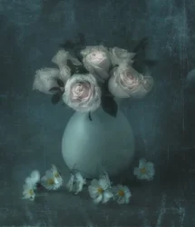 Des roses aux tons pastel de rêve
