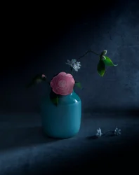 Fleur rose mélancolique