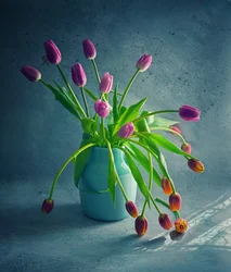 Tulipes retombantes aux couleurs vives