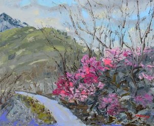 Sentier de montagne fleuri