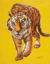 Le regard intense du tigre