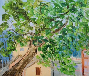 Arbre au feuillage luxuriant