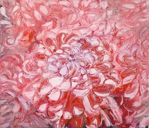 Fleur rose éclatante