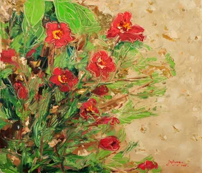 Fleurs d