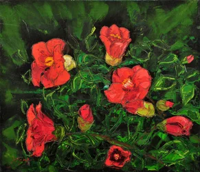 Fleurs d