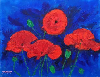 Des coquelicots d
