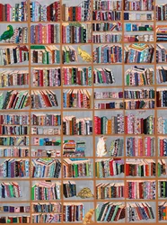 Les amis fantaisistes de la bibliothèque