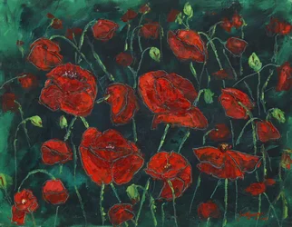 Coquelicots rouges sauvages