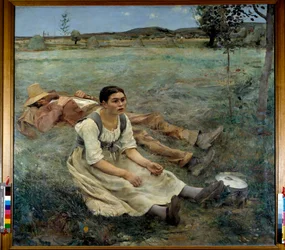 Foin (détail)