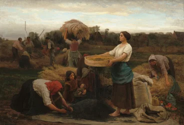 La Colza (Récolte du colza)