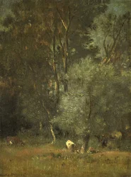 Vue dans les bois