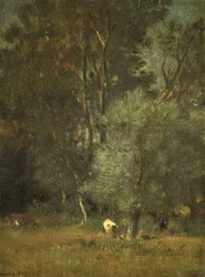 Vue dans les bois