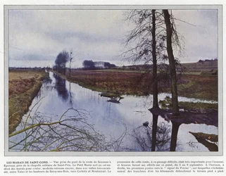 Les Marais de Saint-Gond
