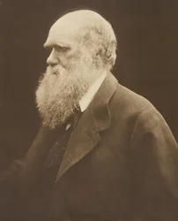 Charles Darwin, vers 1868, imprimé en 1875