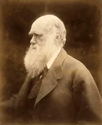 Portrait de Charles Darwin