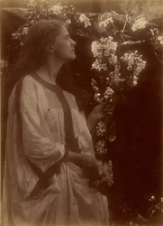 [Printemps]