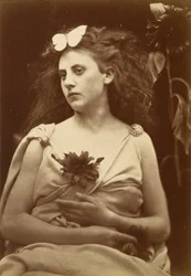 Le tournesol