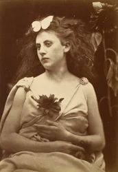 Le Tournesol