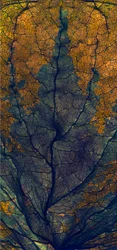 Fenêtre aux coléus, 2008