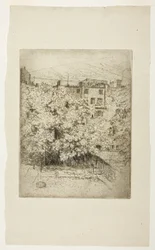 Mon arrière-cour