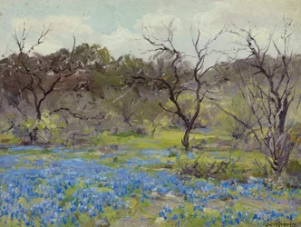 Début du printemps—Bluebonnets et mesquites