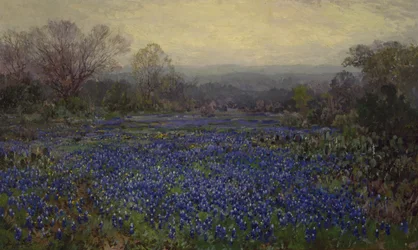 Sans titre - Champ de Bluebonnets