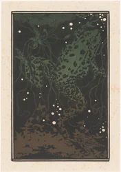 Grenouille nageant