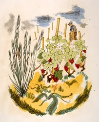 Illustration humoristique de vin 1946. Illustration de Julien Pavil