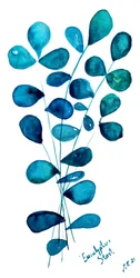 Feuilles d