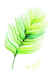 Feuille tropicale aux couleurs vives