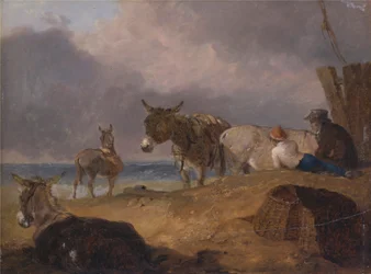 Ânes et Personnages sur une Plage
