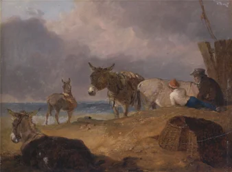 Ânes et personnages sur une plage