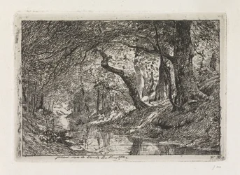 Paysage forestier avec ruisseau et arbres sur la rive