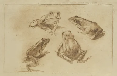Grenouilles