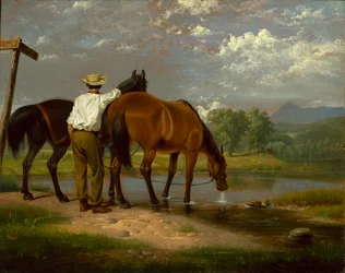 Abreuvement des chevaux