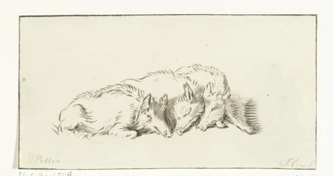 Trois cochons couchés