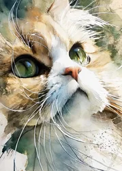 Un chat curieux à l