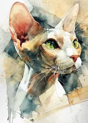 Chat Sphynx aux yeux verts